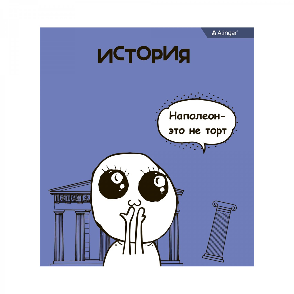 Комплект предметных тетрадей А5 48л., 10 предметов, со справ матер, скрепка, мелов. картон (стандарт), блок офсет, Alingar "Мемы"