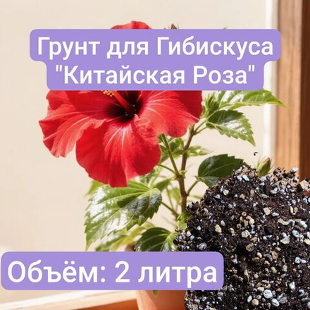 Авторский грунт для Гибискуса(Китайская Роза) 2 литра грунт универсальный 2 литра
