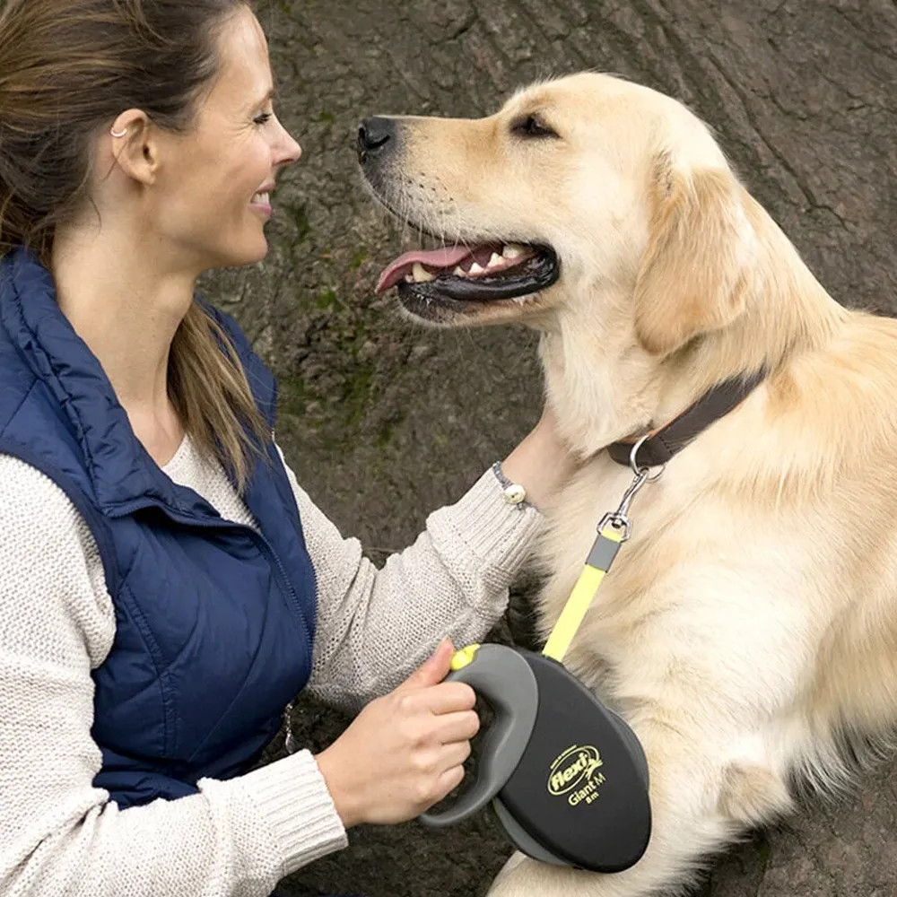 Flexi dog collar sale