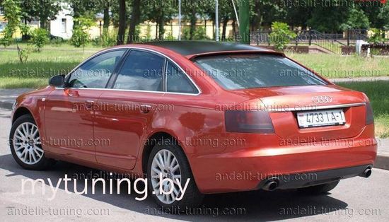 Спойлер на заднее стекло для Audi A6 C6