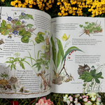 Цветочная книга шмеля