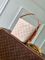 Louis Vuitton All in BB