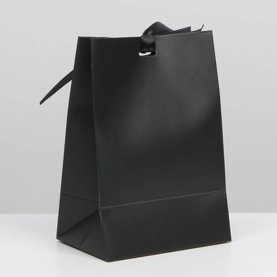 Пакет подарочный с лентой «Чёрный», 13 × 19 × 9 см 7303873