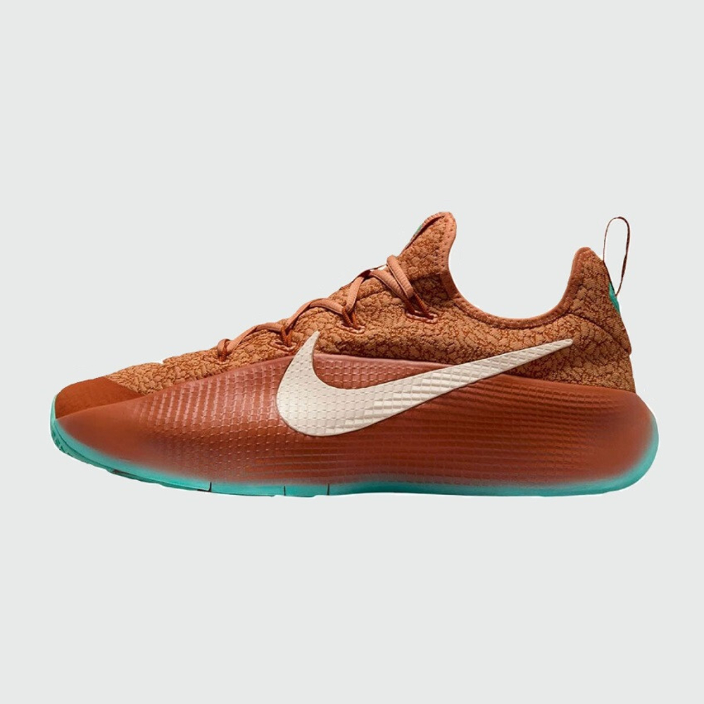 кроссовки Nike LeBron TR 1 Better With Age FJ6151-200