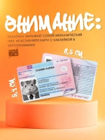 Наклейки на банковскую карту "Хомяк KURWA"