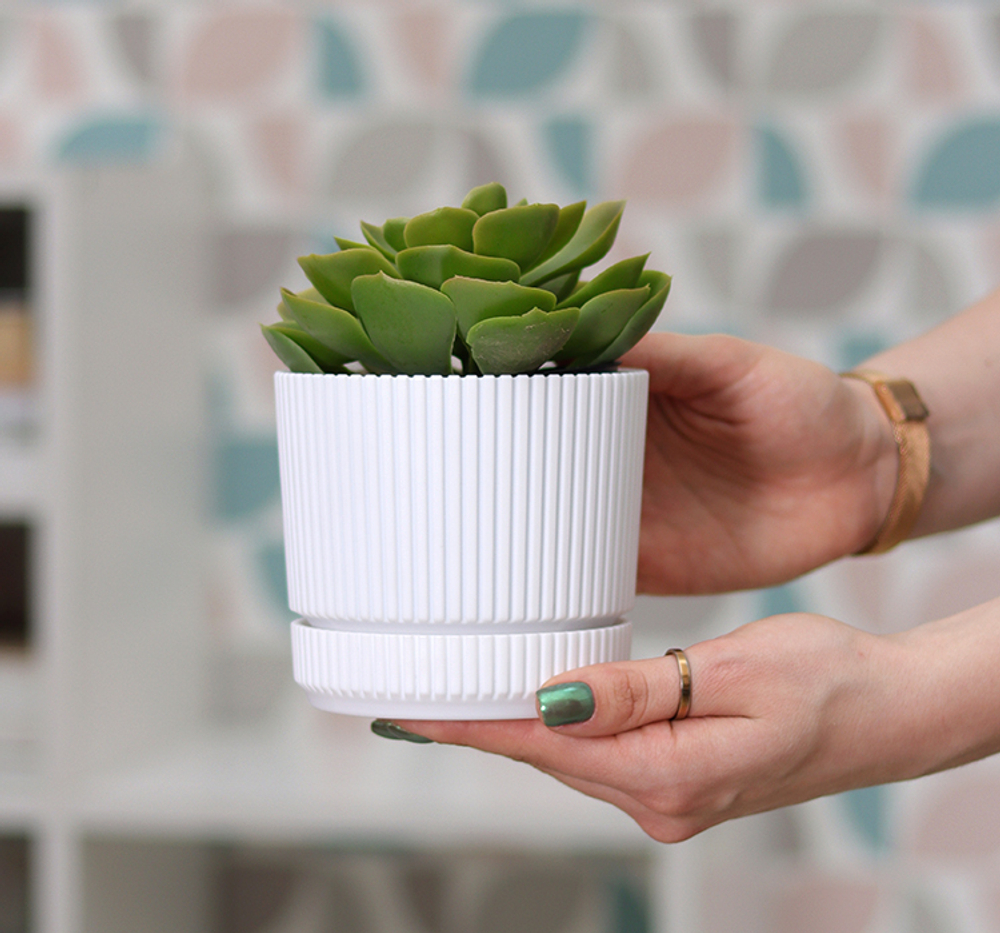 Кашпо СТРИП круглое D=110мм 0,6 л с поддоном М3245