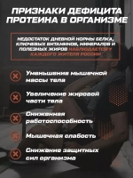 Протеин сывороточный шоколадный / 2+1 3060 гр 102 порции