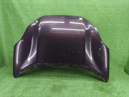 Капот Zeekr 001 (2021-н.в.)