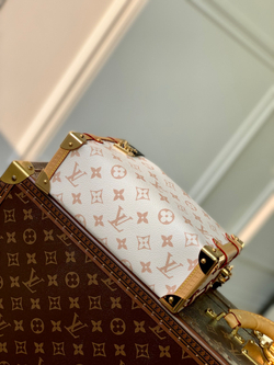 Louis Vuitton Side Trunk MM