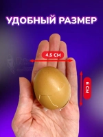 Антистресс Таба сквиш яйцо в настоящей скорлупе