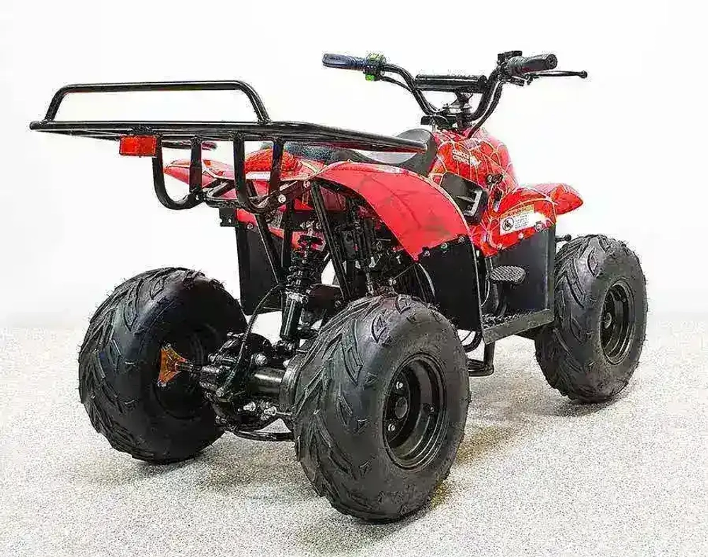Электроквадроцикл Green Camel Гоби K51 (36V 800W R7 Цепь) ножной тормоз