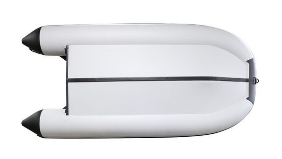 Надувная лодка ProfMarine PM 320 (CL) комби