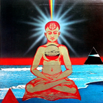 Devadip Carlos Santana / The Swing Of Delight (2LP)