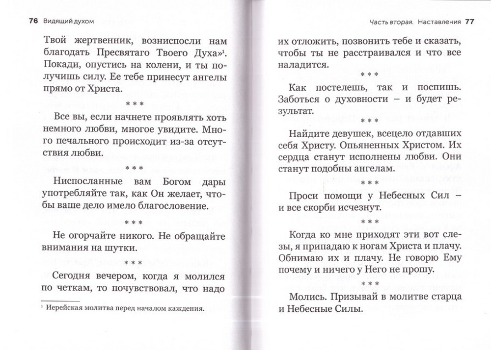 Видящий духом. Свидетельства о преподобном старце Порфирии Кавсокаливите