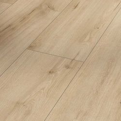 Trendtime 6 Дуб pure Loft, 2,673 м²