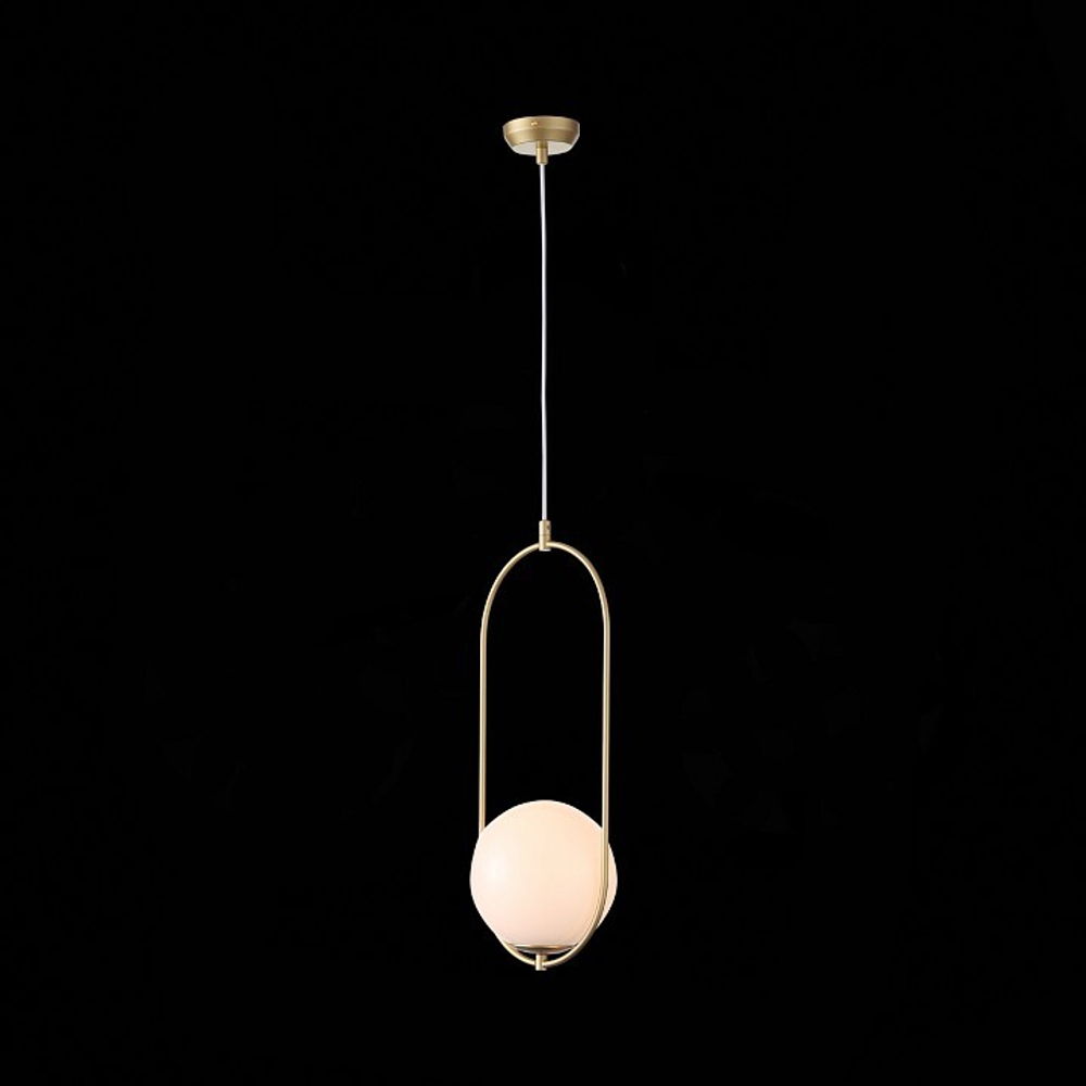 Подвесной светильник ST-Luce Penolo SL1118.203.01