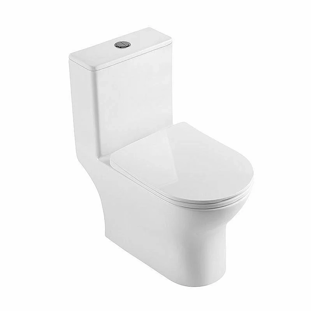 Унитаз-моноблок BelBagno LOUNGE BB8618CPR-MN/SC безободковый, с бачком, с крышкой микролифт