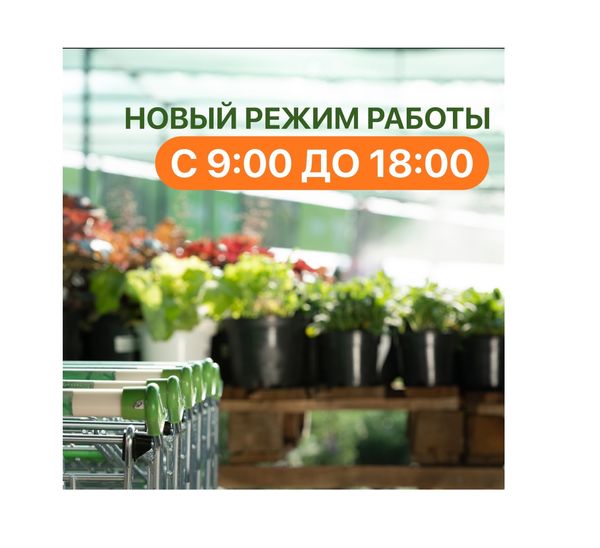 Новый режим работы!