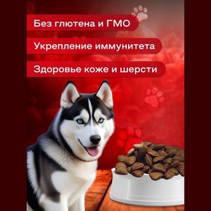 Сухой корм Shelly Adult для взрослых собак всех пород, с ягненком