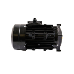 Электромотор V-26, V-57, V-57A (380V/220V/50/60Hz PUMP MOTOR)