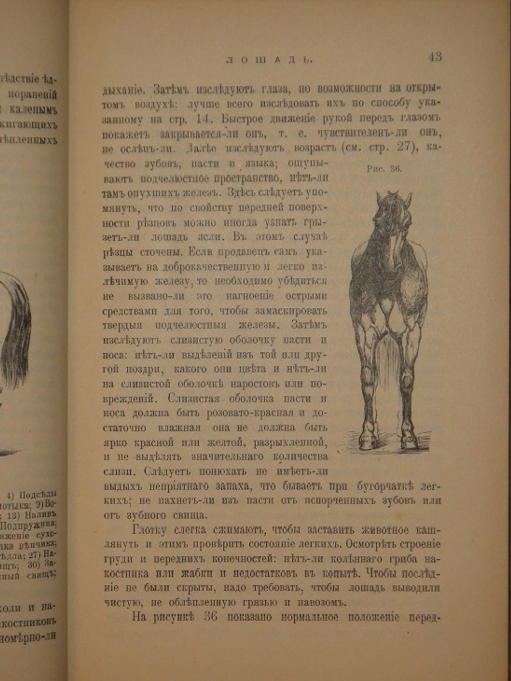 "Иллюстрированный гомеопатический лечебник для домашних животных. Руководство к предупреждению и гомеопатическому лечению болезней лошадей, рогатого скота, овец, свиней, собак и домашней птицы". Вильмар Швабе. 1880г.
