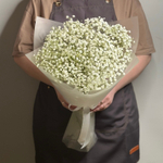 Букет из живых цветов белая гипсофила 5 шт, 50 см, в пленке, без зелени