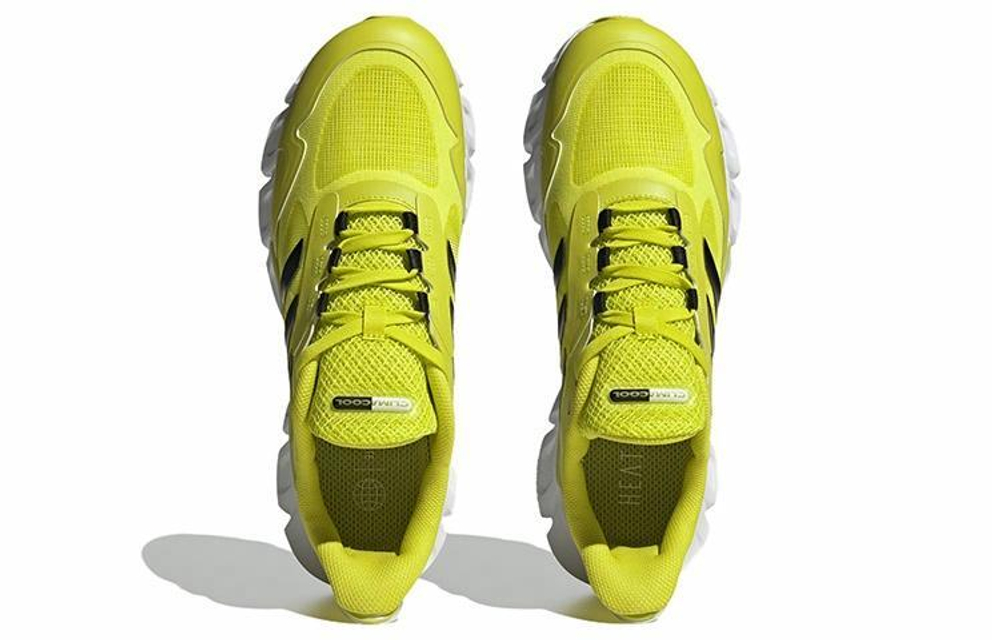 Кроссовки Adidas Climacool