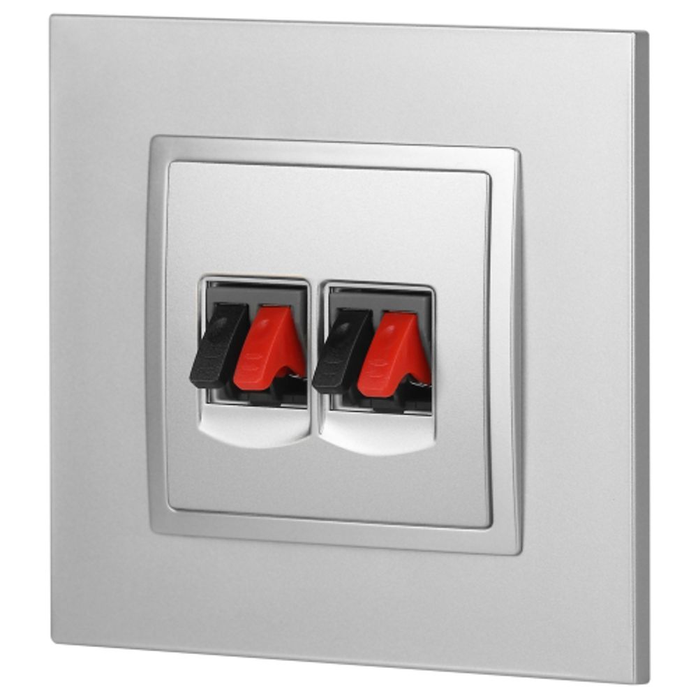 Розетка ЭРА Elegance 14-3112-03 аудио двойная IP20 алюминий