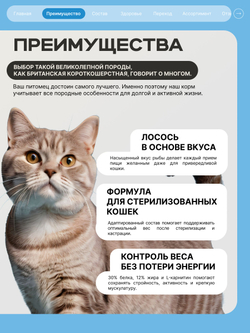 Корм сухой для стерилизованных кошек породы Британская короткошерстная, с лососем, 400 гр, QUATTRO