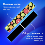 Закладки для книг МАГНИТНЫЕ "FRUITS" набор 6 шт. 60x20 мм BRAUBERG (10 штук в упаковке)