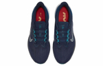 Кроссовки Nike Zoom Winflo 9