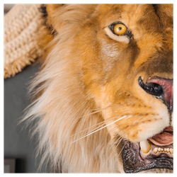 Реплика головы «Африканский лев»