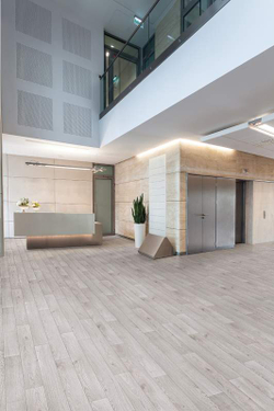 Линолеум коммерческий Profi Premium Falco 17, 3х22м (рулон)