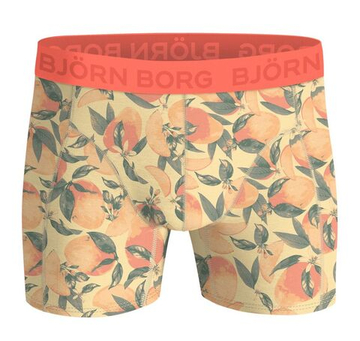 Мужские спортивные боксеры Björn Borg Cotton Stretch 3P - multicolor