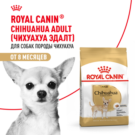 Royal Canin Chihuahua Adult Корм сухой для взрослых собак породы Чихуахуа от 8 месяцев 3 кг