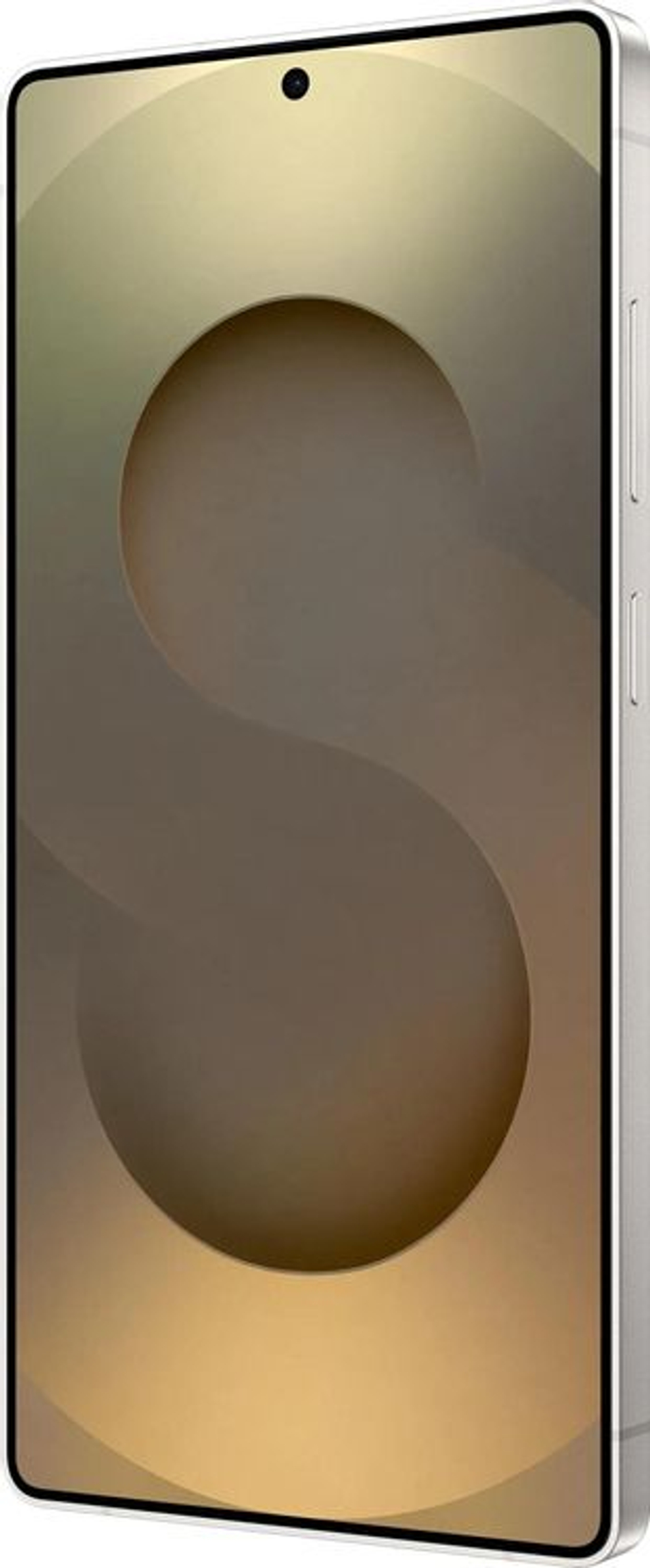 6.9" Смартфон Samsung Galaxy S25 Ultra 12/512Gb,  SM-S938B,  NFC,  AMOLED,  120Гц,  5000мAч,  серый титан
