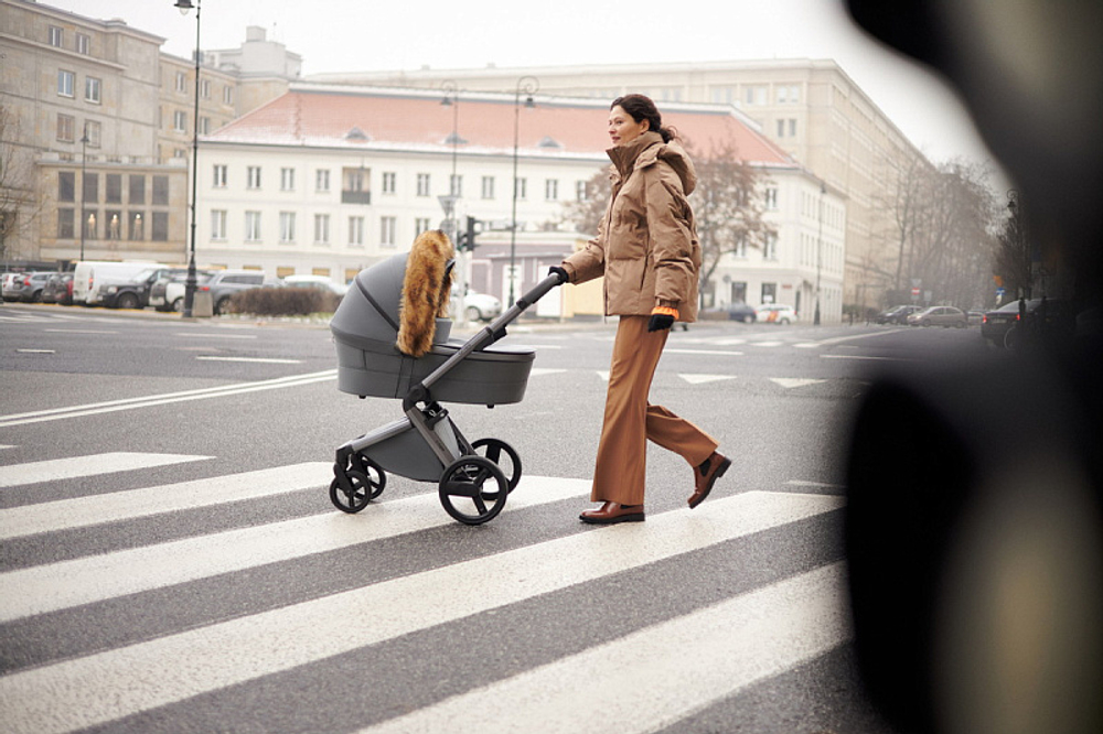 Детская коляска Anex l/type 3 в 1 Frost