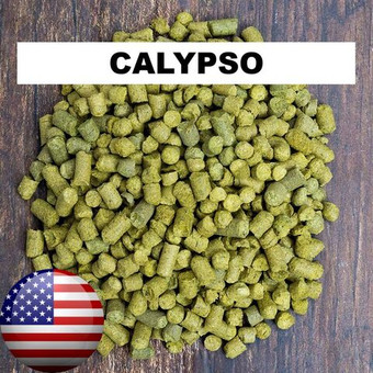 Хмель "Calypso" (США) 2023г, 50г