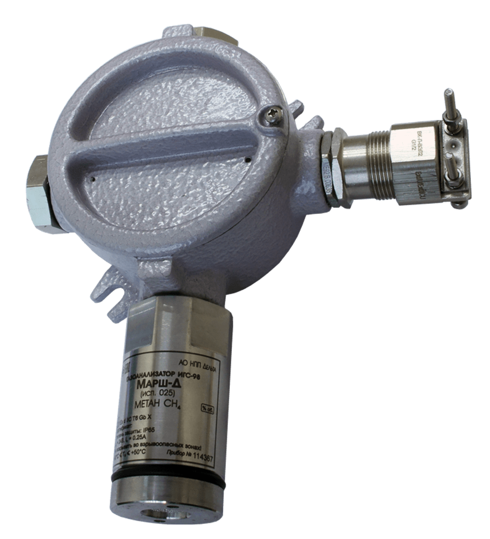 ИГС-98-Д (исполнение 025) датчик-газоанализатор