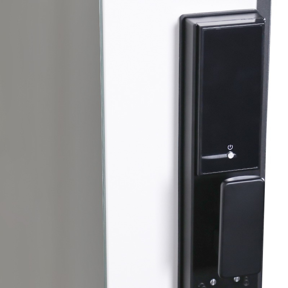 Стальная дверь "Vertu" с зеркалом (биометрический замок)