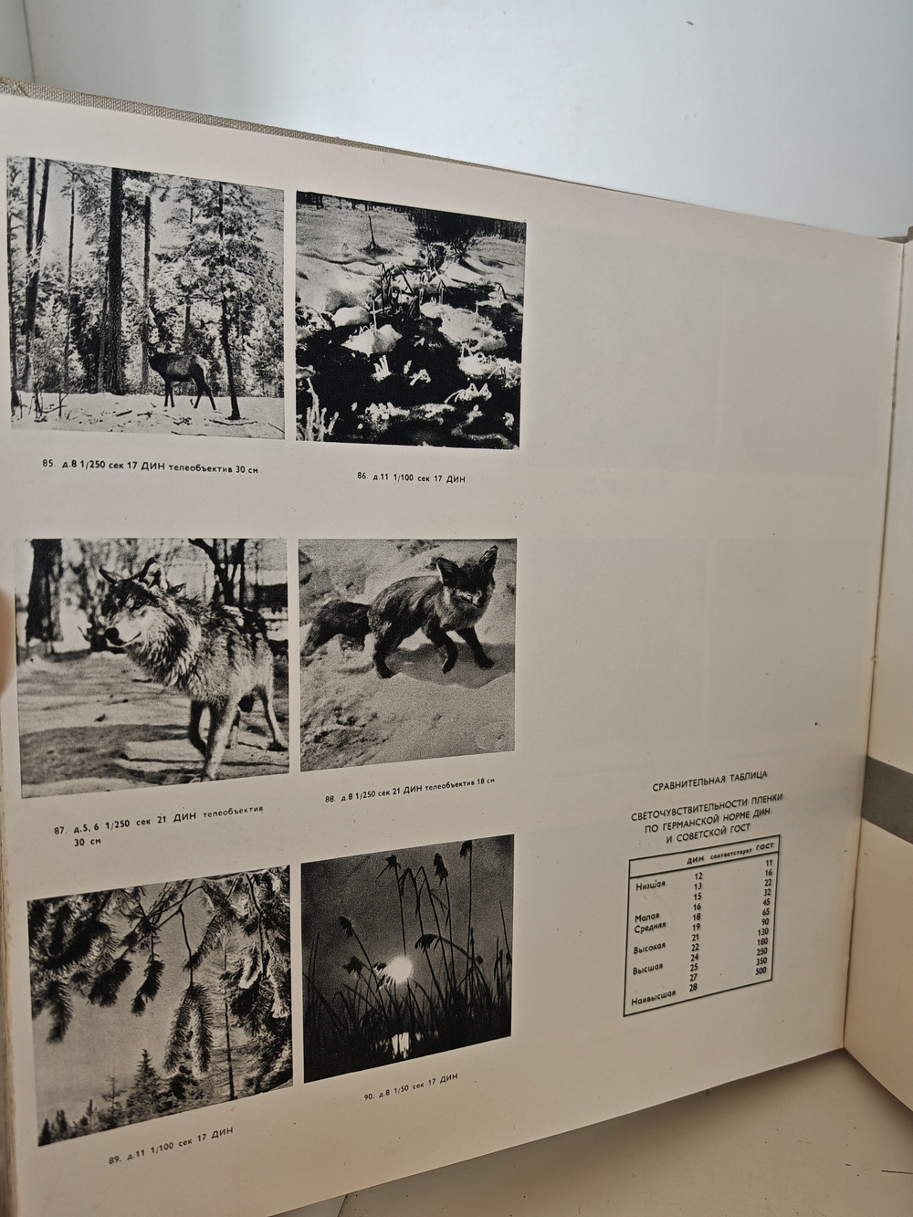 Фото-приключения