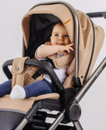 Детская коляска Rant Falcon 2 в 1 Beige