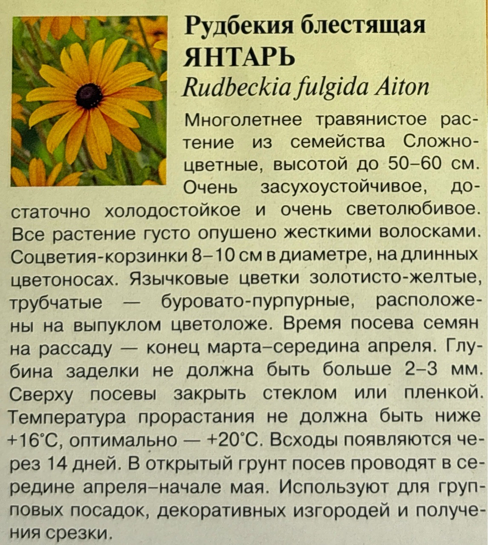 Рудбекия мн. Янтарь 0,05 г СМЦ-577