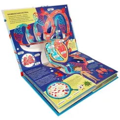 3D энциклопедия-панорамка. Анатомия от 26.07.2022