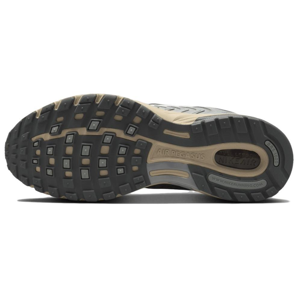 Кроссовки Nike Air Pegasus 2005