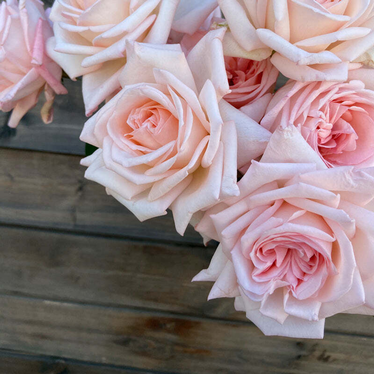 Пинк О'Хара — букет романтических ароматных роз