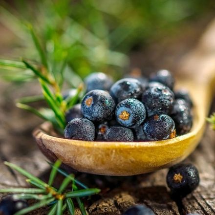 Ягоды можжевельника и табак (Juniper Berries & Tobacco)