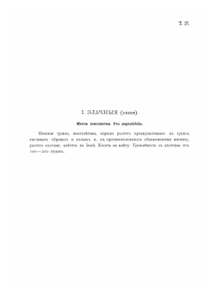 Иллюстрированная классификация главнейших сортов луговых трав | А.Ю. Лашкарев