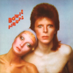 David Bowie / Five Years 1969 - 1973 (13LP)