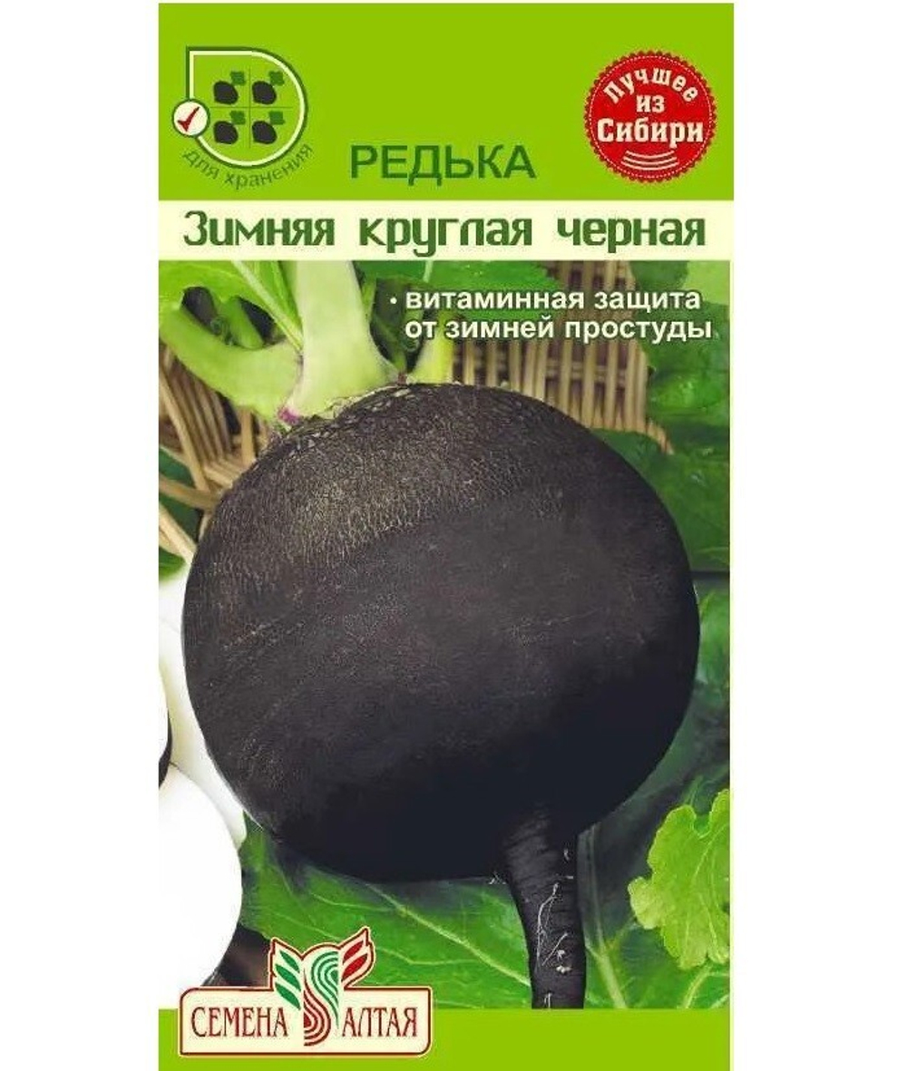 Редька Черная зимняя круглая 1г Б Волжский Сад